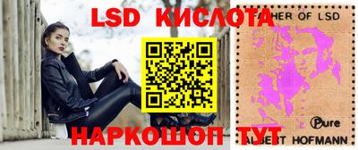 стафф Берёзовский