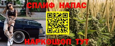 сатива Беслан