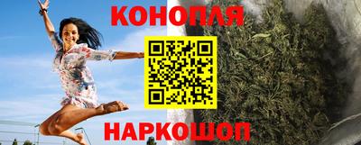 сатива Беслан