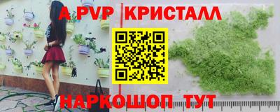 сатива Беслан