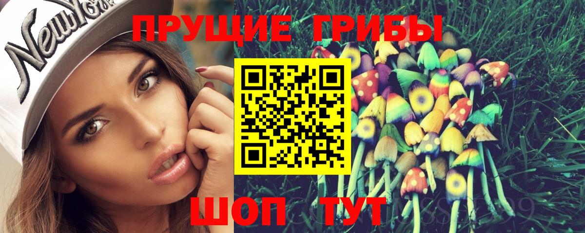 Коломна  Псилоцибиновые грибы GOLDEN TEACHER  Вход с VPN  Псилоцибиновые грибы Psilocybine cubensis 