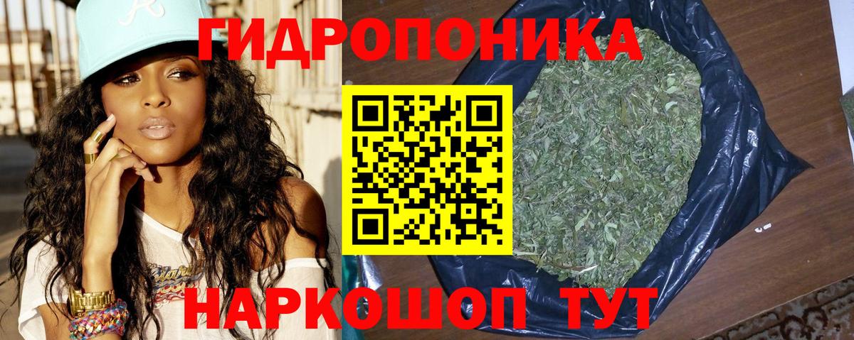 Канабис сатива Коломна